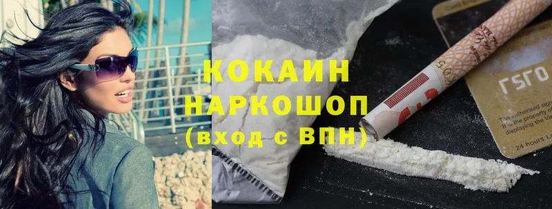 где продают наркотики  Пудож  КОКАИН FishScale 